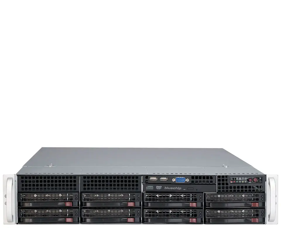 bluechip SERVERline R52301s 2 TB 850164