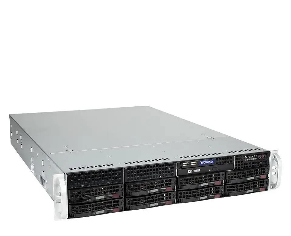 bluechip SERVERline R52305s 2 TB 850289