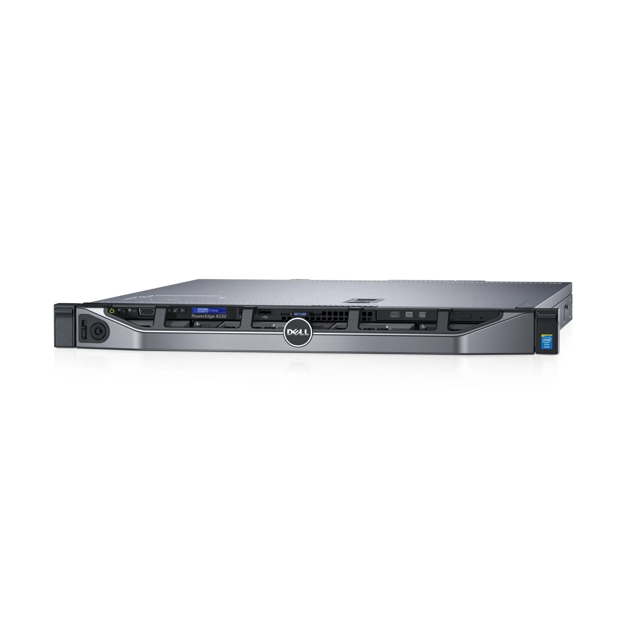 DELL R230 1 TB R230-4111