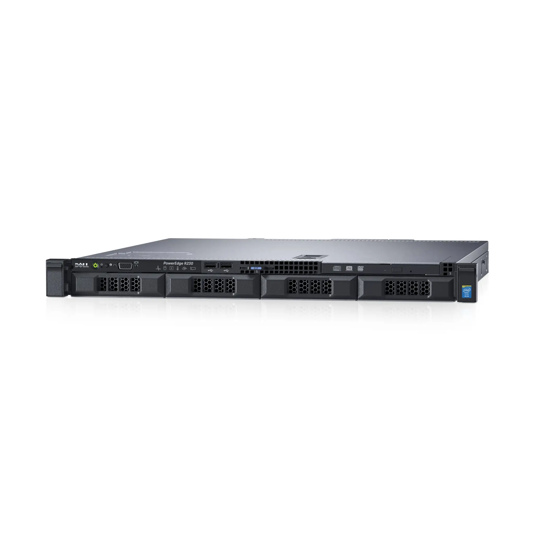 DELL PowerEdge R230 1 TB R231E30811T1W2