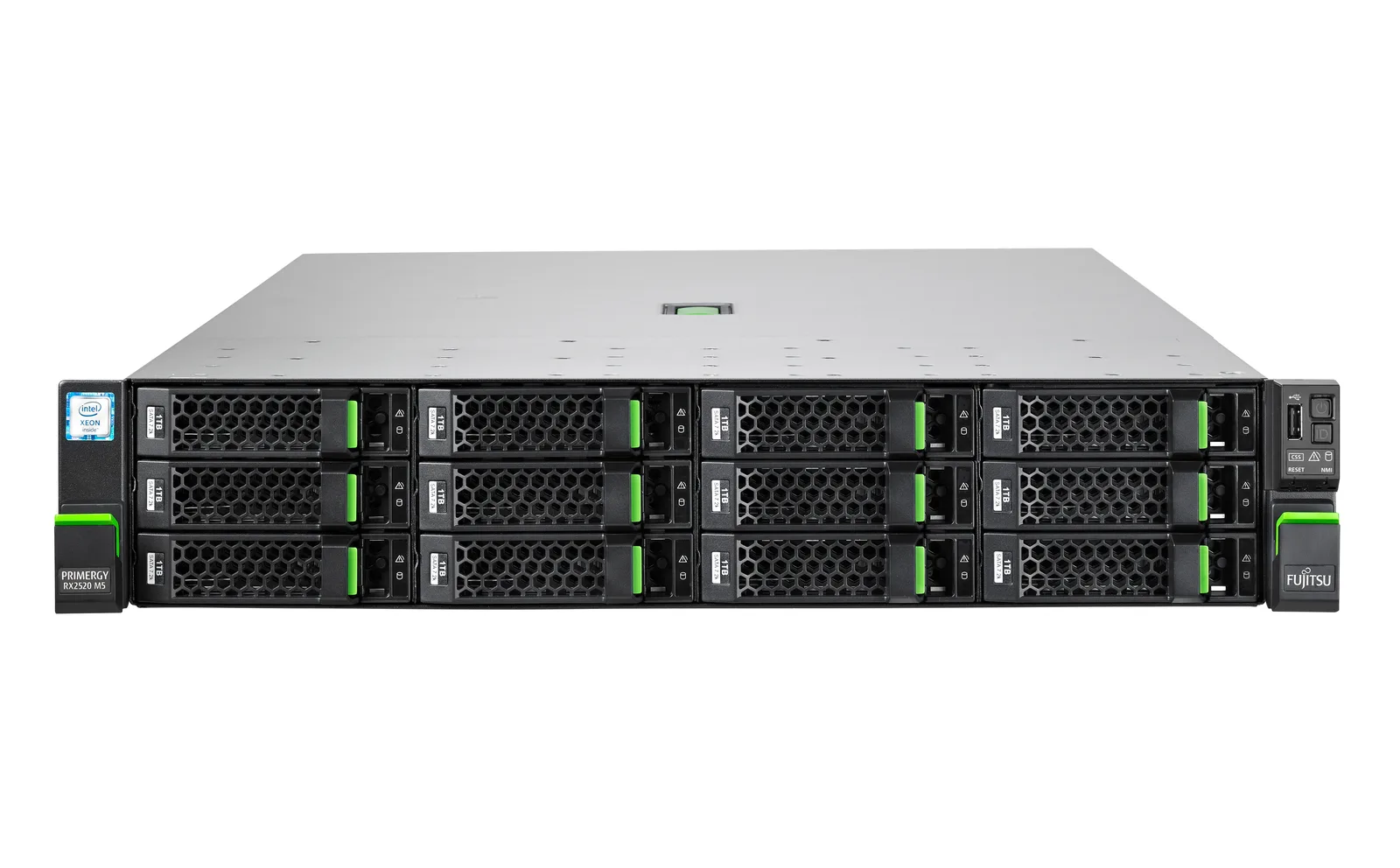 Fujitsu PRIMERGY LKN:R2525S0016PL