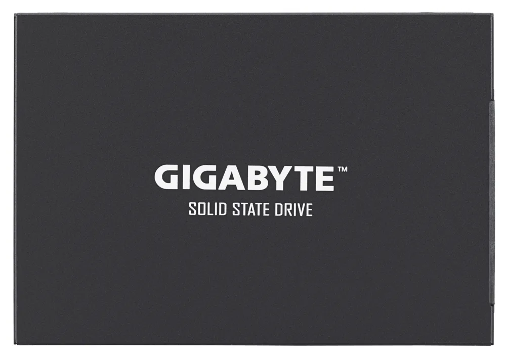 GIGABYTE UD PRO GPSS0S256-00-G