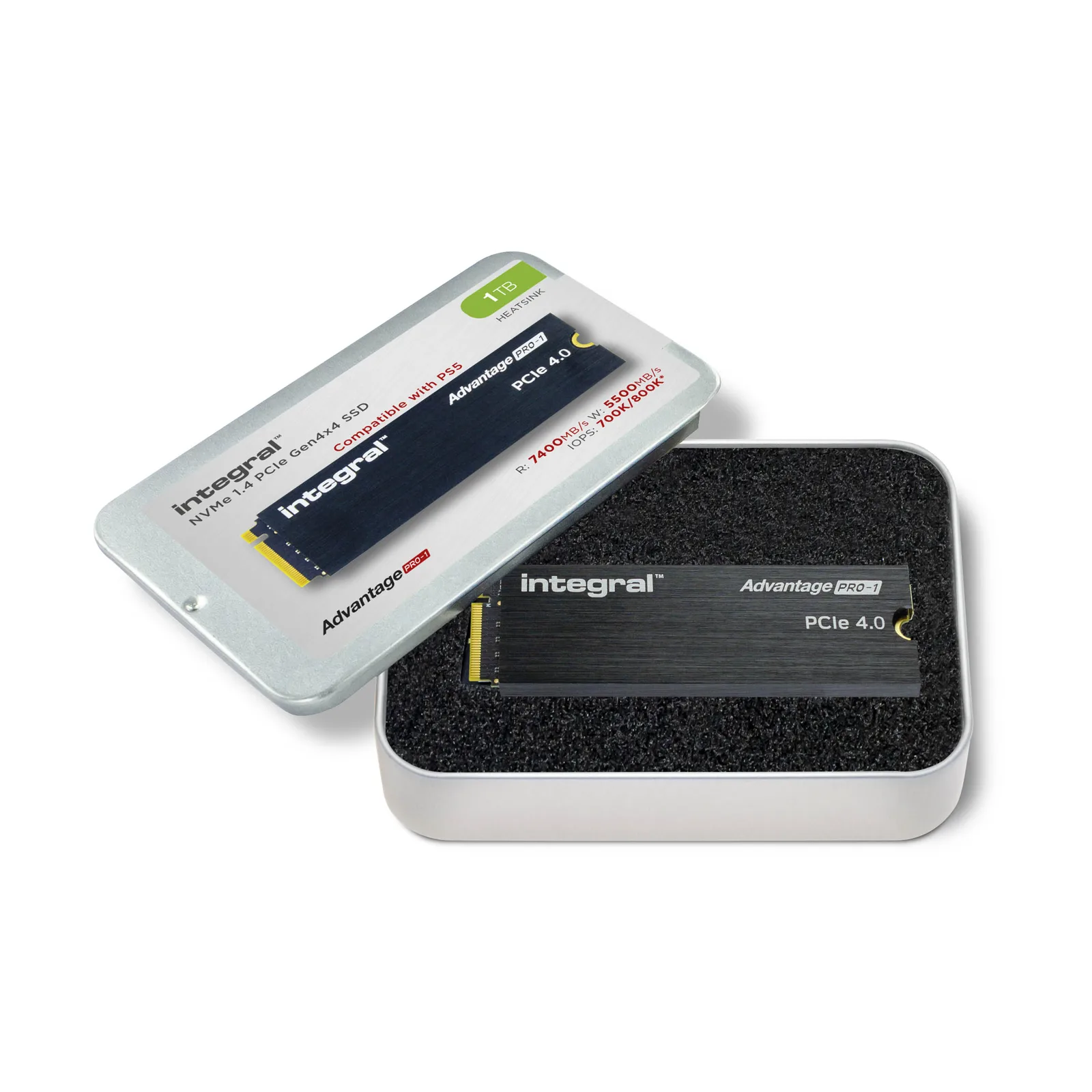 Integral INSSD1TM2280G4AP1XHS