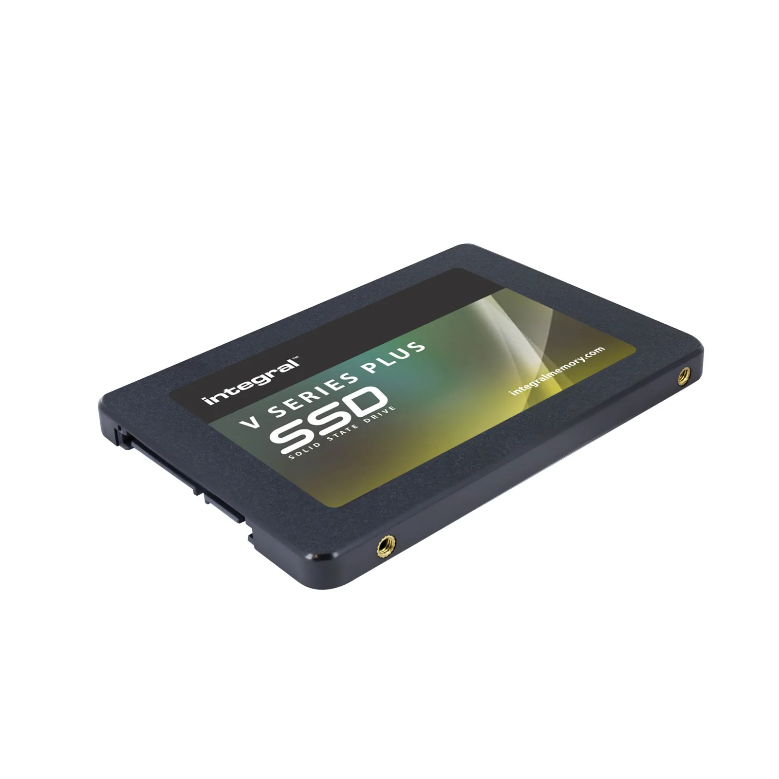 Integral INSSD256GS625V2P