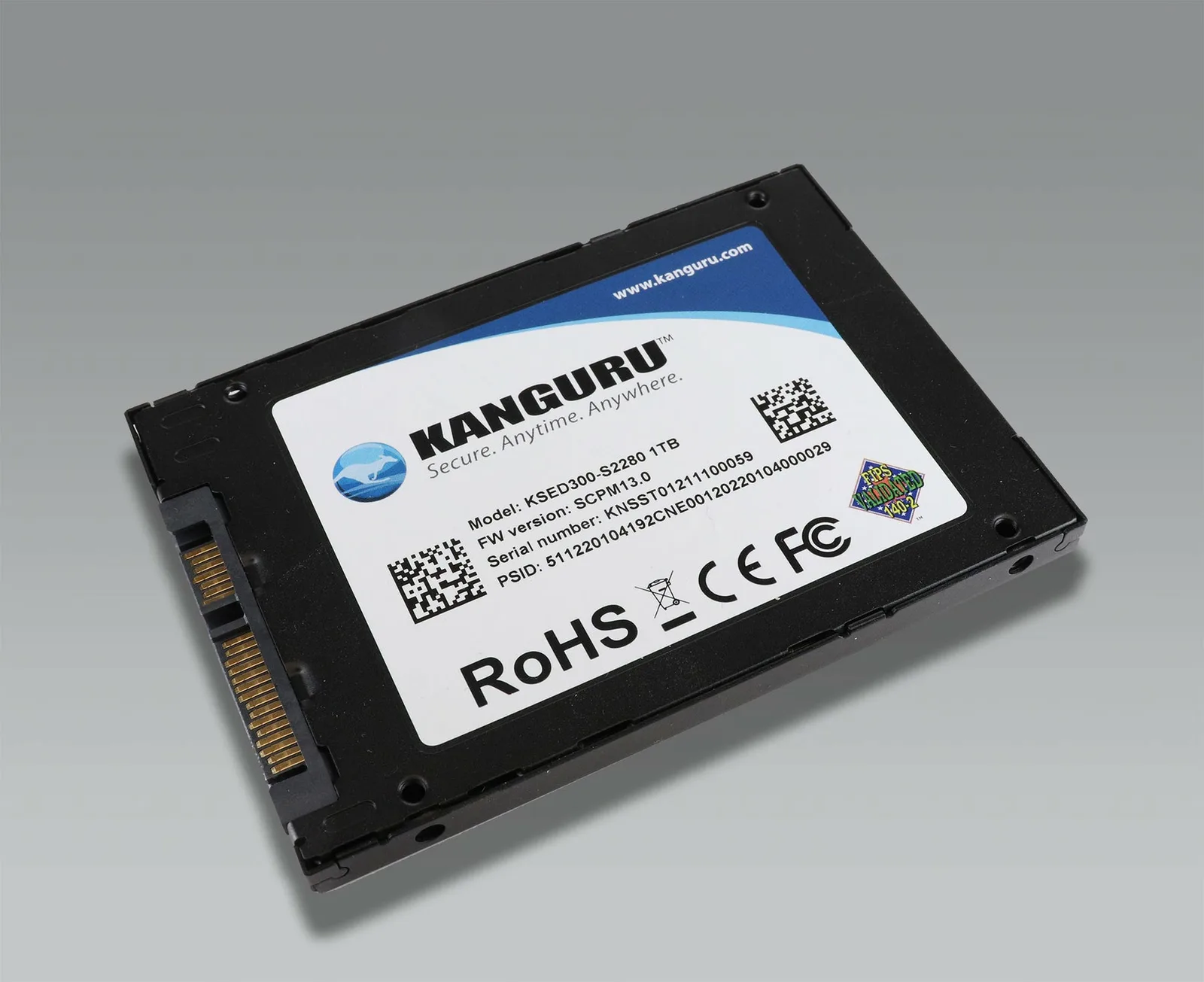 iStorage Kanguru SED300 KSED300-SATA-500G