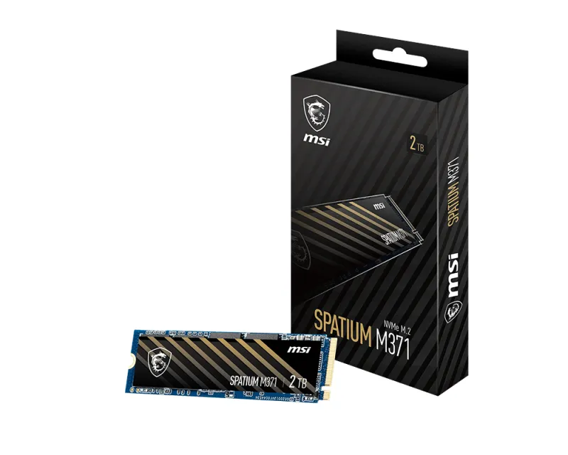 MSI SPATIUM M371 SM371N2TB