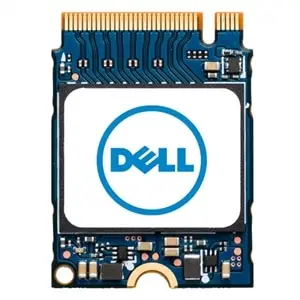 DELL AB292880 256 GB SNP112233P/256G