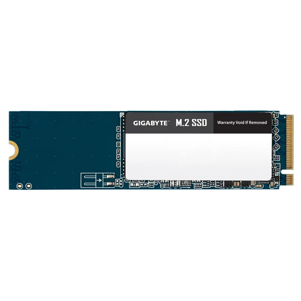GIGABYTE GM2500G 500 GB