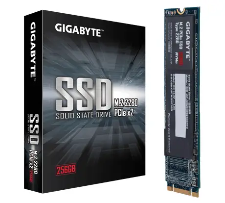 GIGABYTE GP-GSM2NE8256GNTD 256 GB