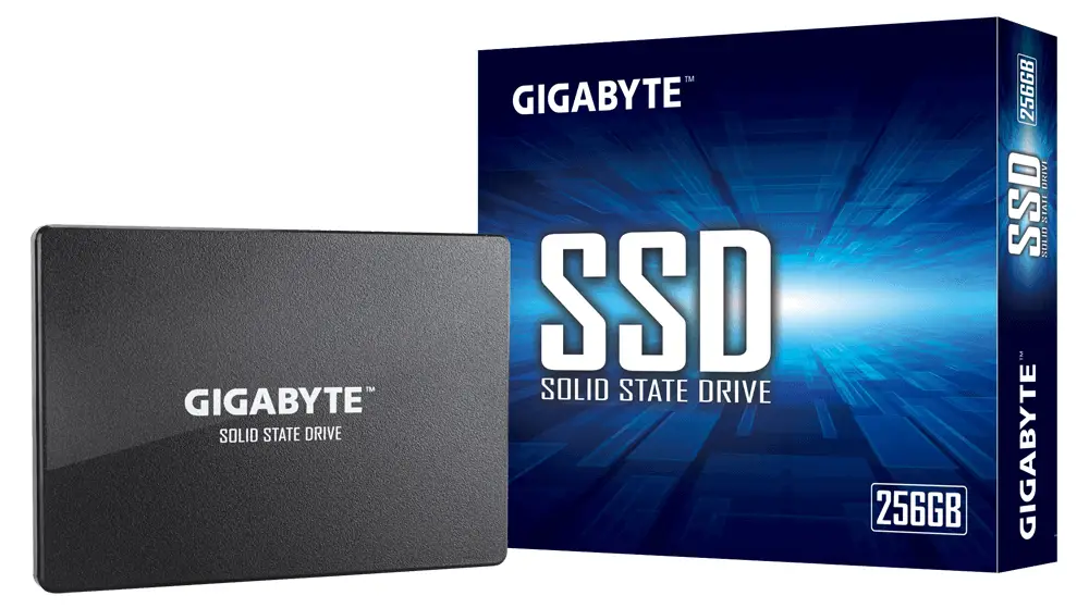 GIGABYTE GP-GSTFS31256GTND 256 GB
