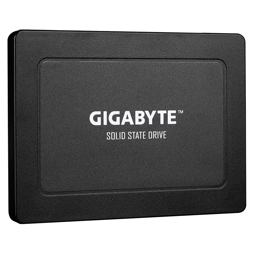 GIGABYTE GP-GSTFS31512GNTD-V 512 GB