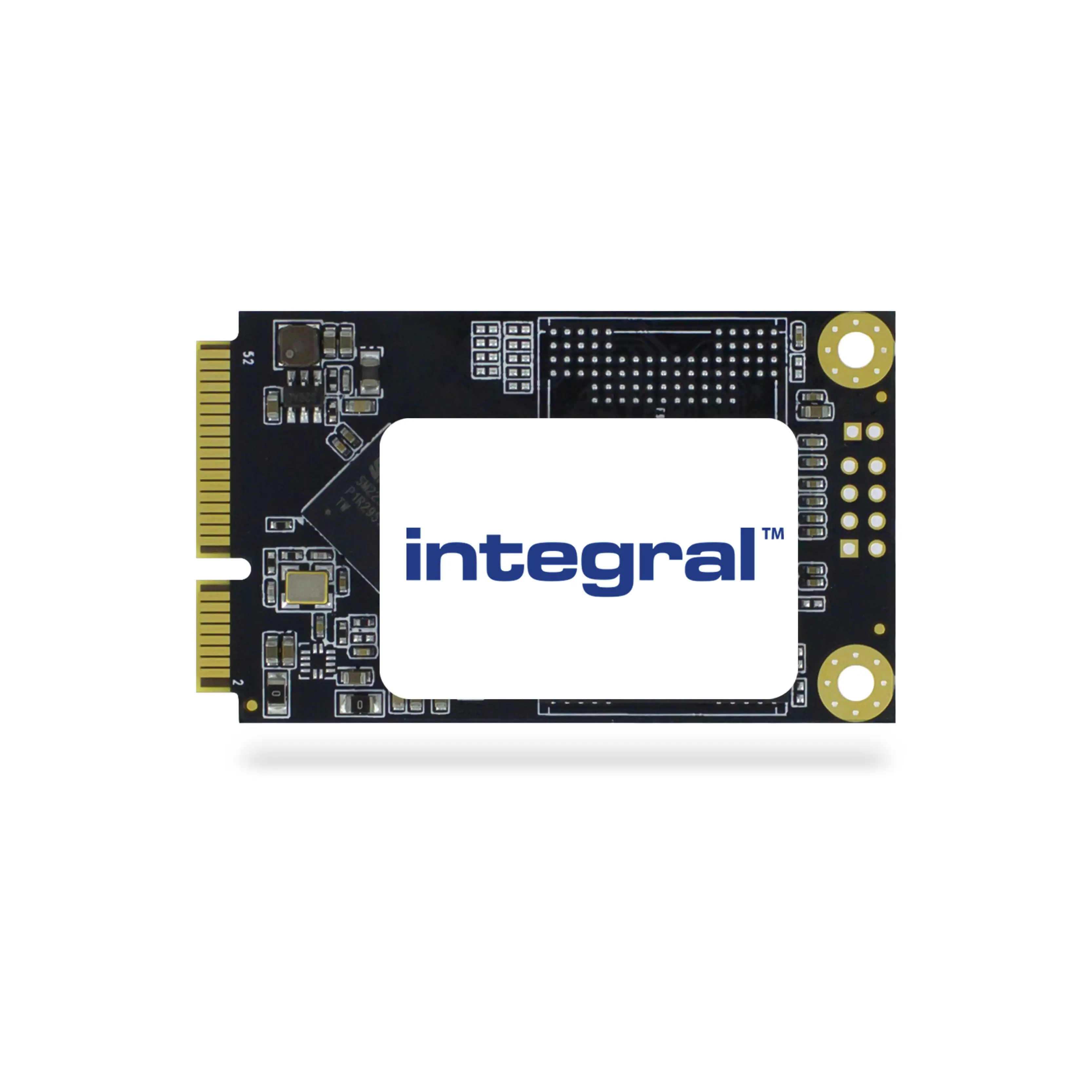 Integral INSSD256GMSA 256 GB