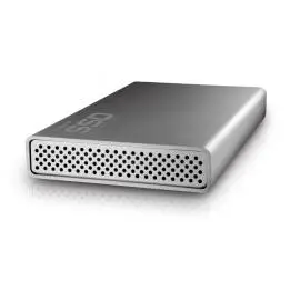 Integral INSSDE256GS25MXAAP 256 GB