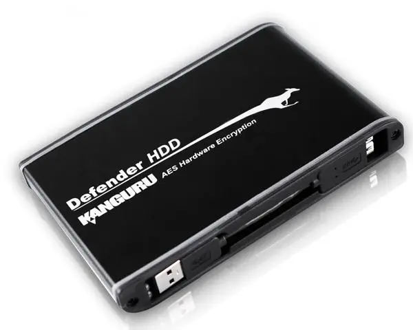 iStorage Defender 256 GB KDH3B-256SSD