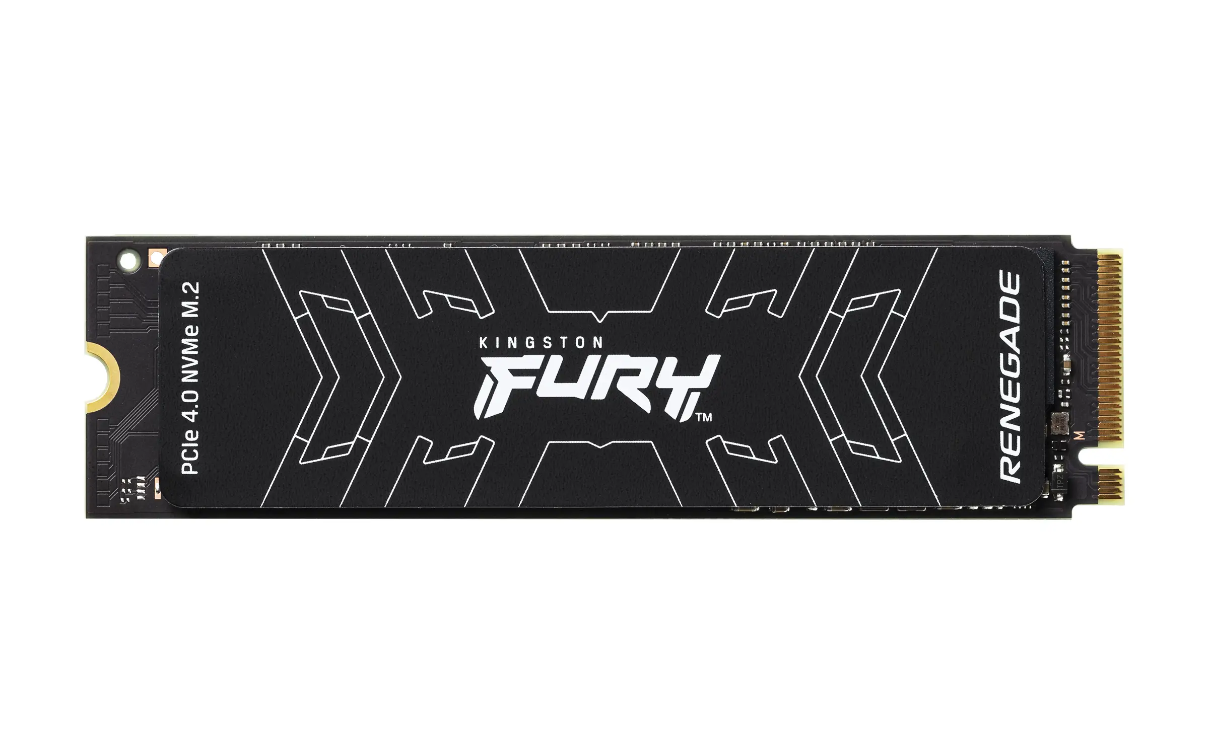 Kingston Technology FURY Renegade 500 GB SFYRS/500G