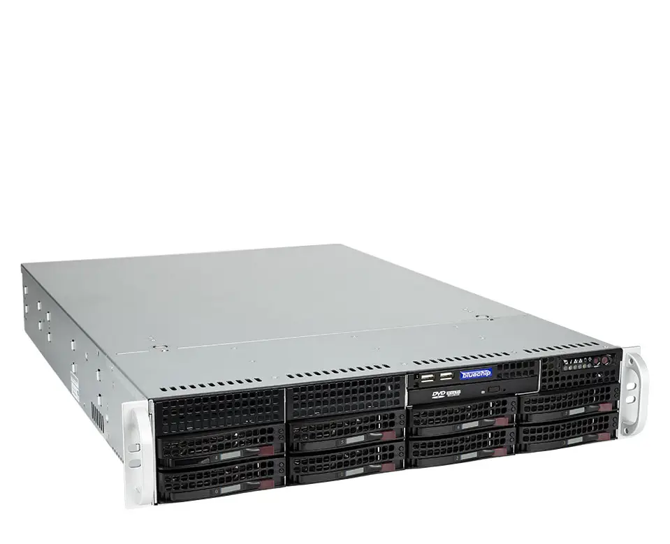 bluechip SERVERline R42302s 2 TB 850239