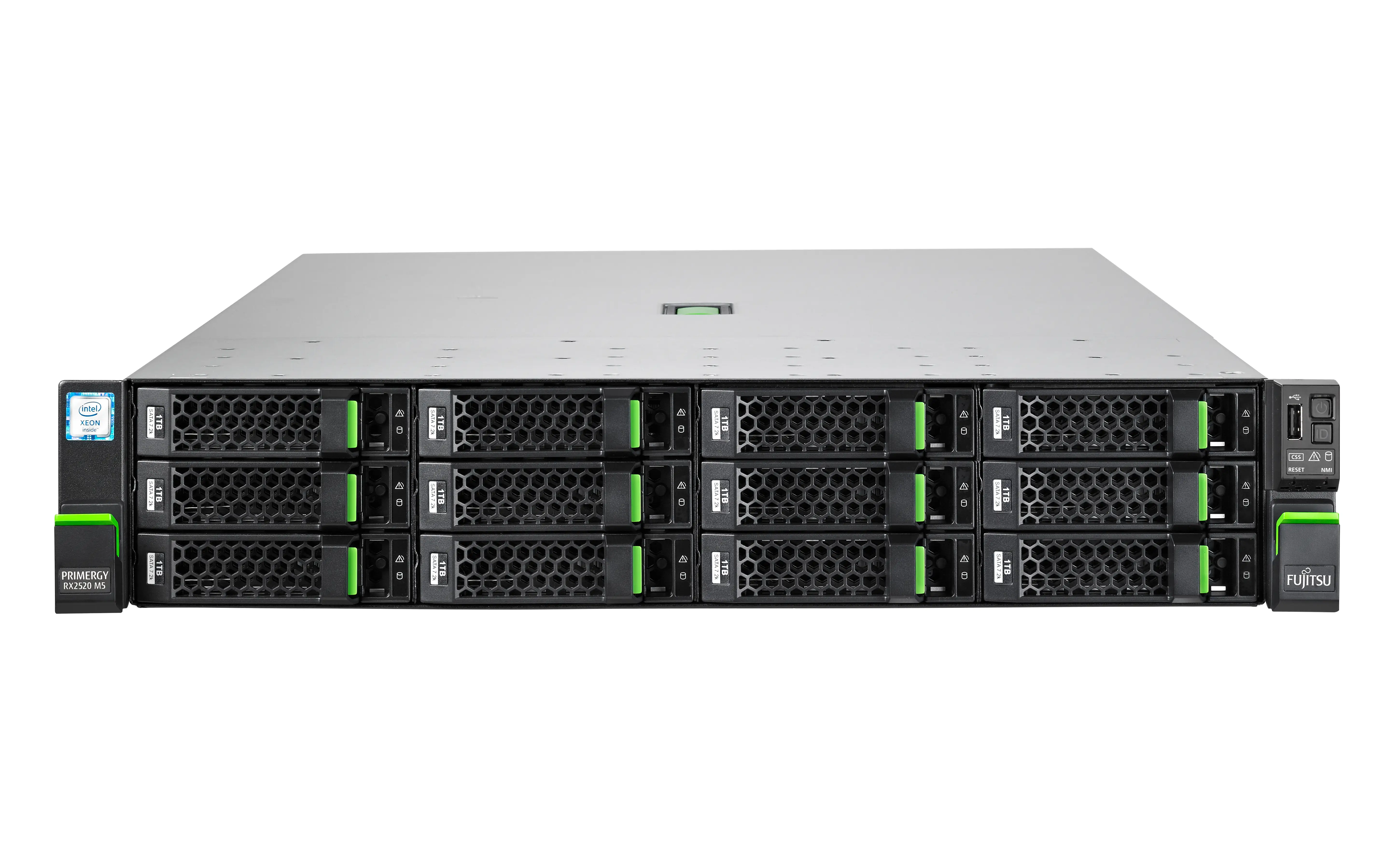 Fujitsu RX2520 M5 1 GHz VFY:R2525SC020IN