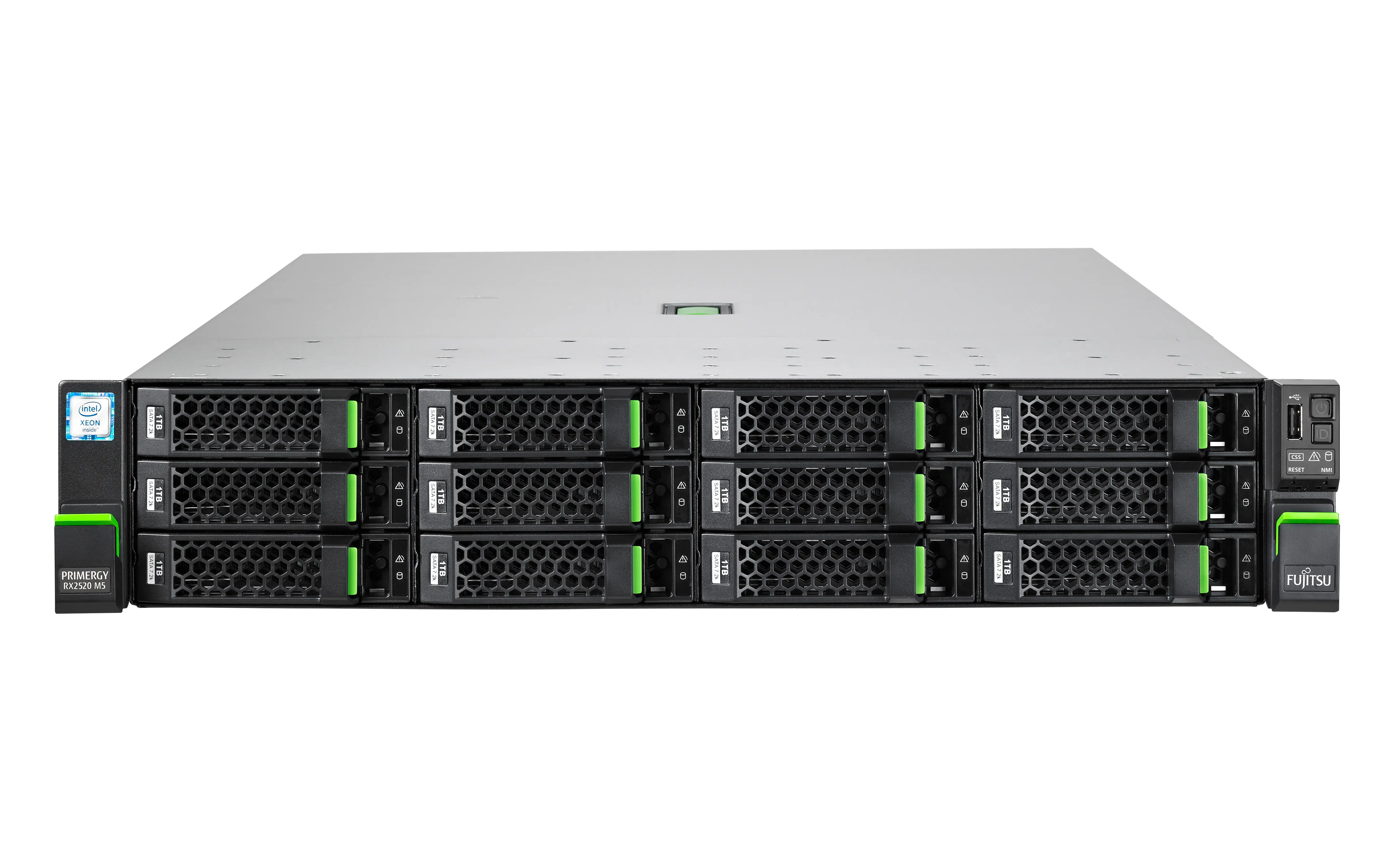 Fujitsu RX2520 M5 4 GHz VFY:R2525SX160PL