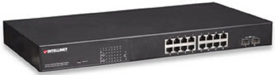 Intellinet 560535