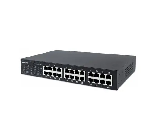 Intellinet 560924