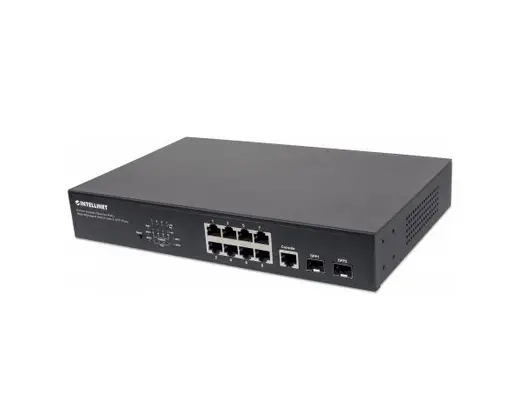 Intellinet 561051
