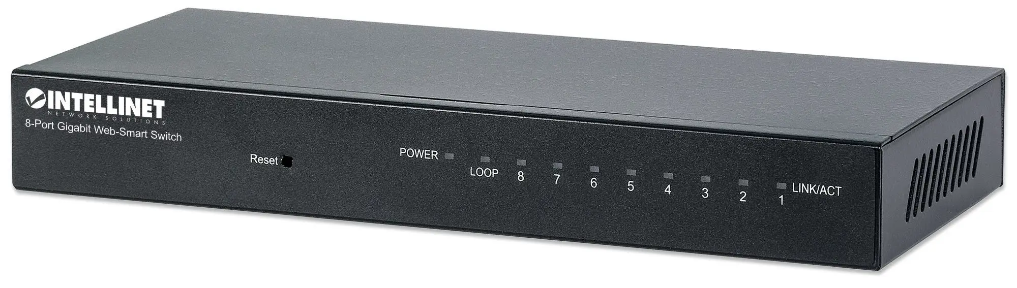 Intellinet 561099