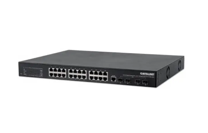 Intellinet 561105