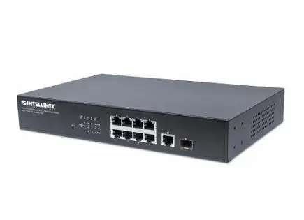 Intellinet 561358