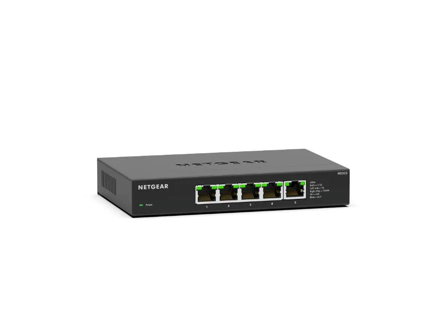 NETGEAR MS305-100NAS