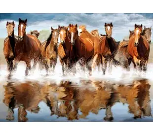 Clementoni Horses 31972