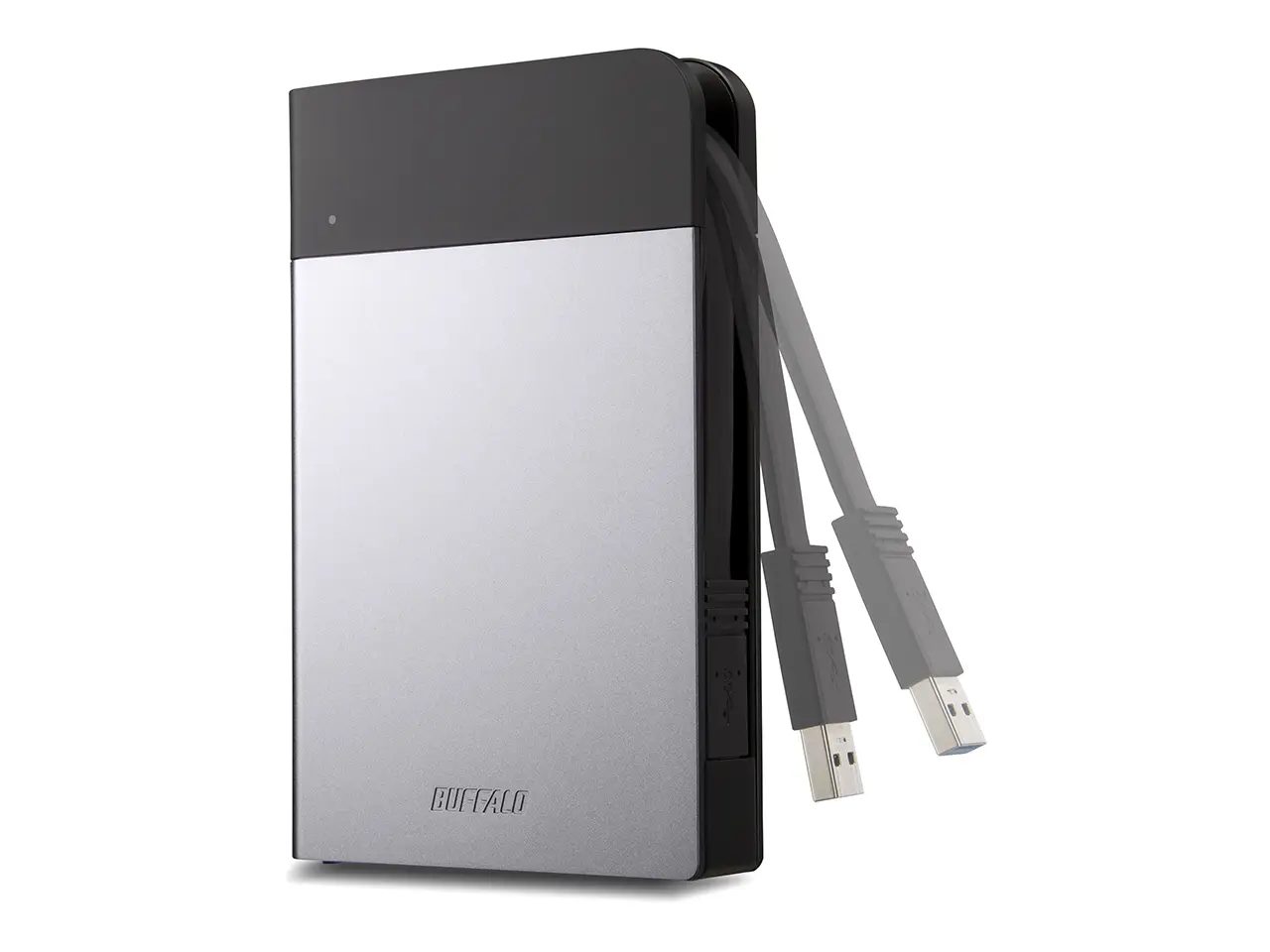 Buffalo HD-PZN1.0U3-S 1 TB
