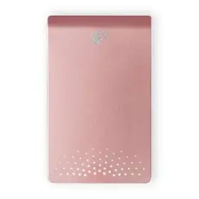 Seagate ST902503FCA2E1-RK 250 GB
