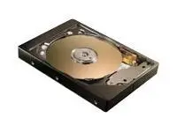 Seagate HD Fireball 3 40GB ATA133 5400rpm 2F040J0