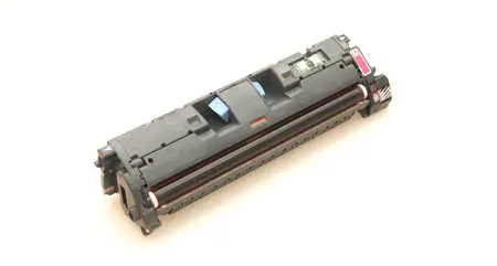 Peach 110190