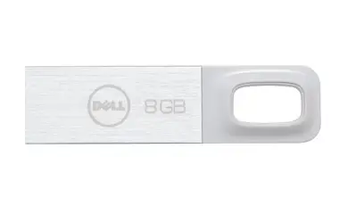 DELL A8200973 8 GB