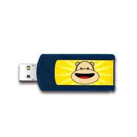 Integral INFD4GBMIDRVFUN 4 GB