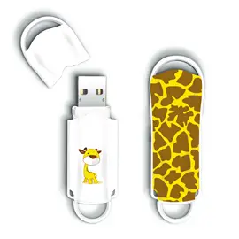 Integral INFD4GBXPRGIRAFFE 4 GB