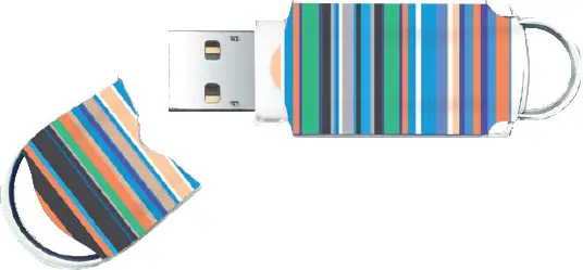 Integral INFD4GBXPRSTR 4 GB