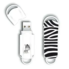 Integral INFD4GBXPRZEBRA 4 GB