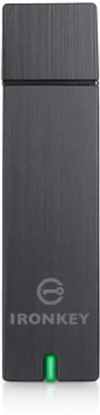 Kingston Technology D250 32 GB IKD250E/32GB
