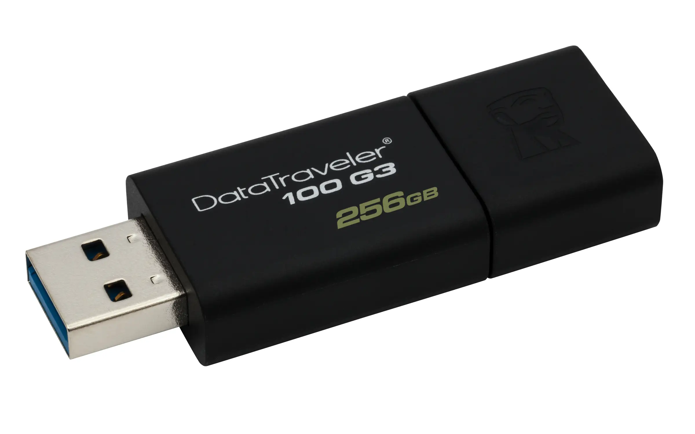 Kingston Technology 100 G3 256 GB DT100G3/256GB