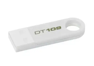 Kingston Technology 109 4 GB DT109W/4GBZ