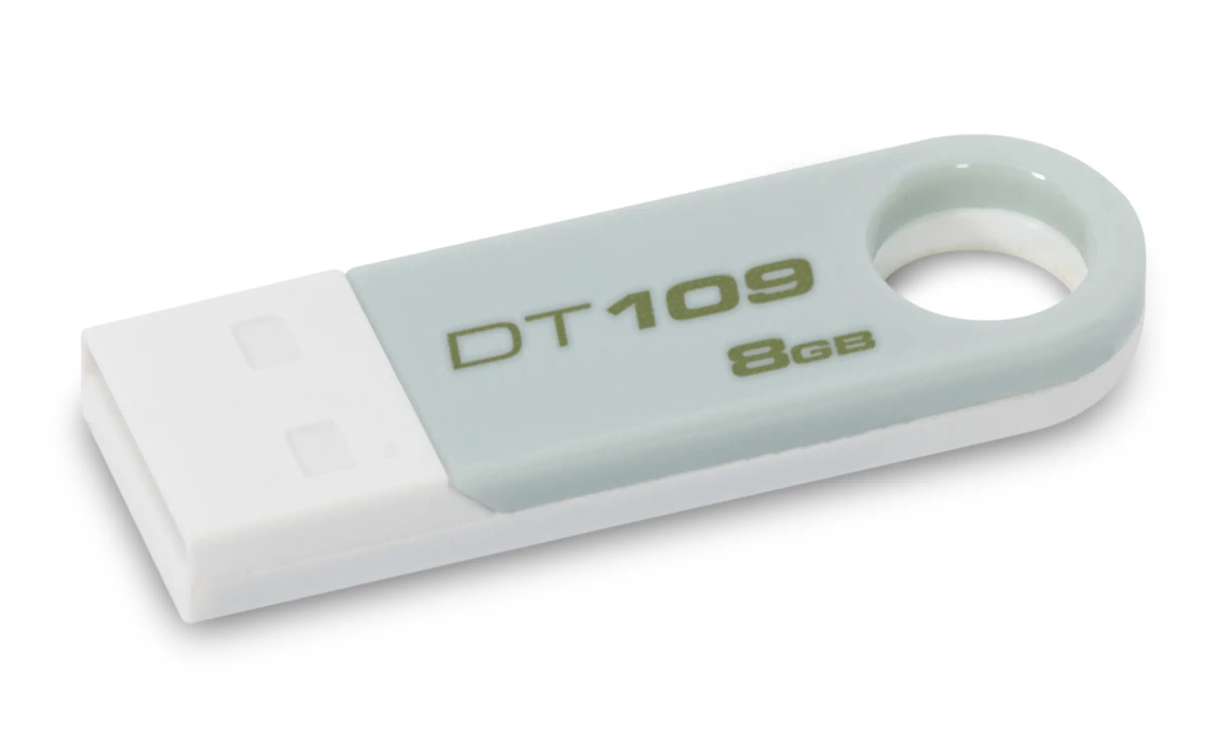 Kingston Technology 109 8 GB DT109S/8GBZ