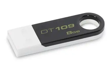 Kingston Technology 109 8 GB DT109K/8GB
