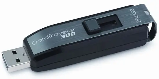 Kingston Technology 300 256 GB DT300/256GB