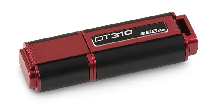 Kingston Technology 310 256GB DT310/256GB