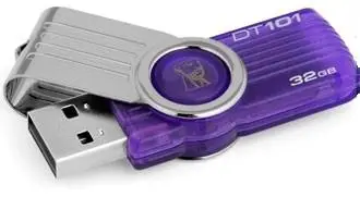 Kingston Technology 32GB DataTraveler G2 DT101G2/32GBZ