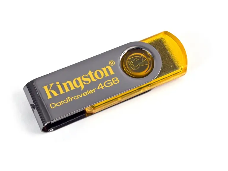 Kingston Technology 4GB DataTraveler 101 DT101Y/4GBER