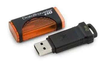 Kingston Technology C10 2GB DTC10/2GB