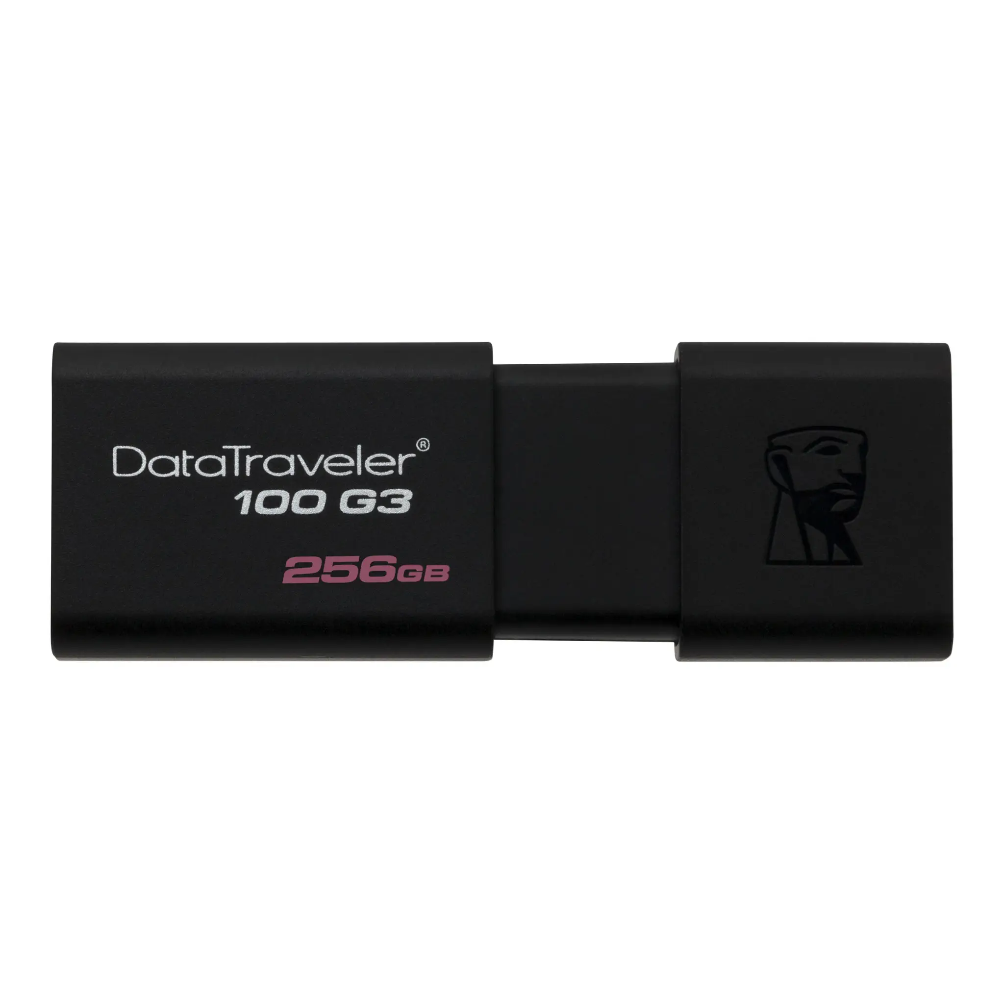 Kingston Technology DT100G3 256 GB DT100G3/256GBCR
